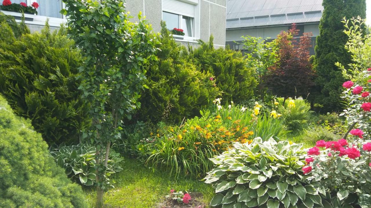 Apartament Jutrzenka Spytkowice  Экстерьер фото